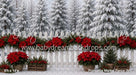 Poinsettia Market Fence (MI)