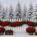 Poinsettia Market Fence (MI)