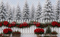 Poinsettia Market Fence (MI)