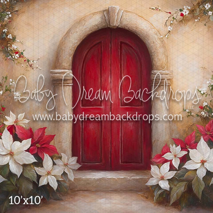 Poinsettia Noel (CM)