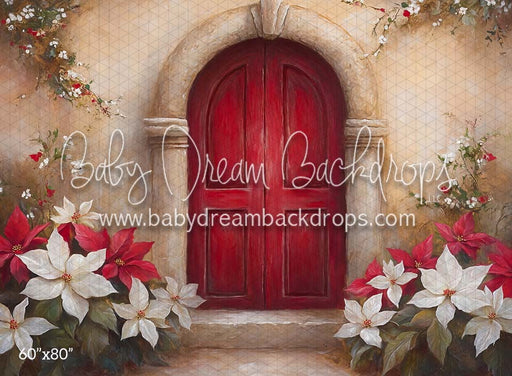 Poinsettia Noel (CM)