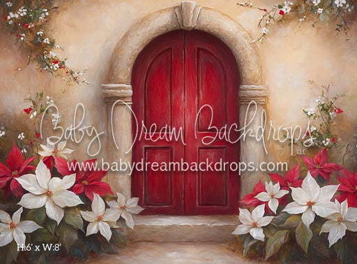 Poinsettia Noel (CM)