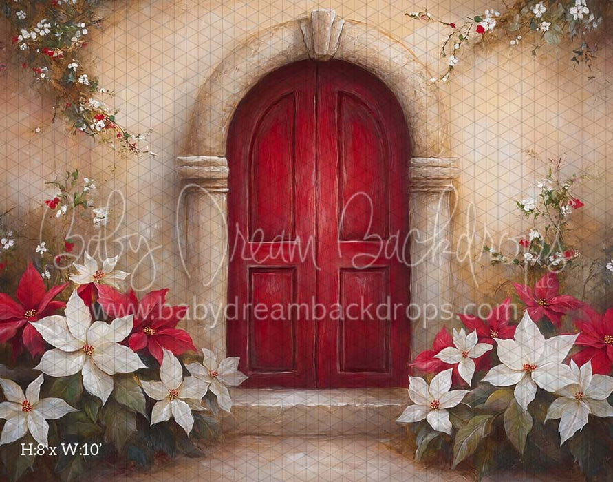 Poinsettia Noel (CM)