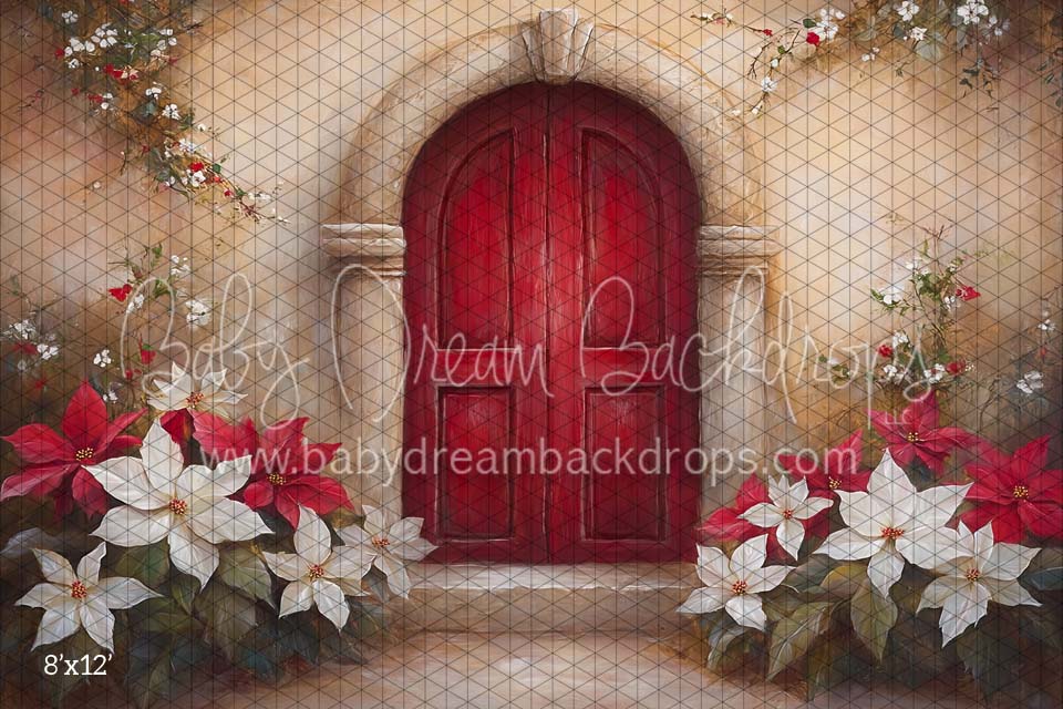 Poinsettia Noel (CM)