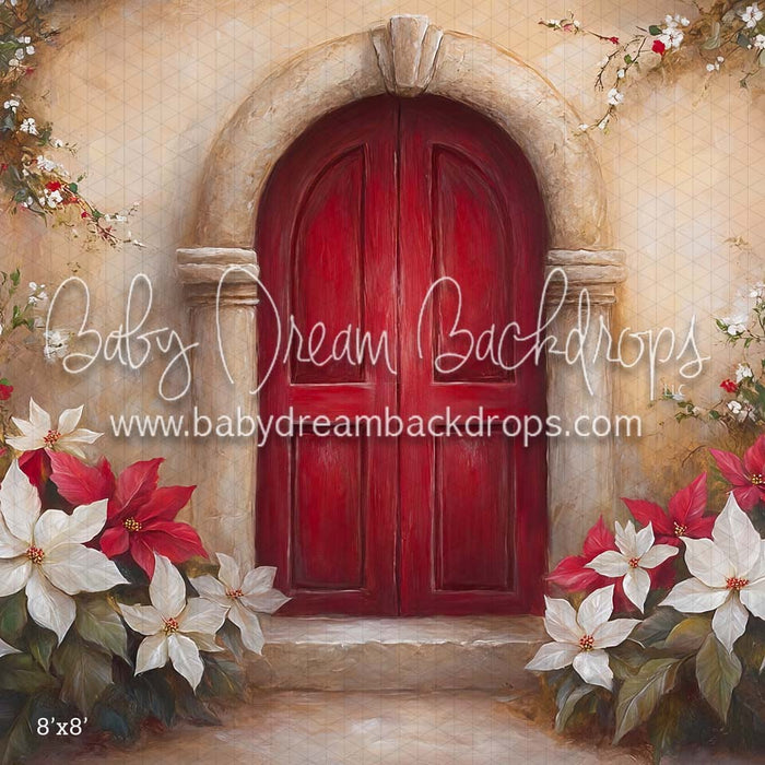 Poinsettia Noel (CM)