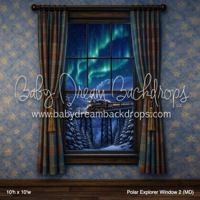 Polar Explorer Window 2 (MD)