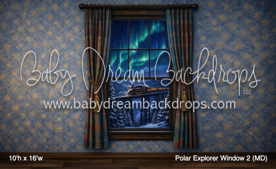 Polar Explorer Window 2 (MD)