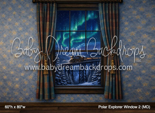 Polar Explorer Window 2 (MD)