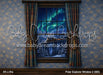Polar Explorer Window 2 (MD)