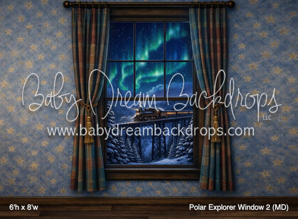 Polar Explorer Window 2 (MD)