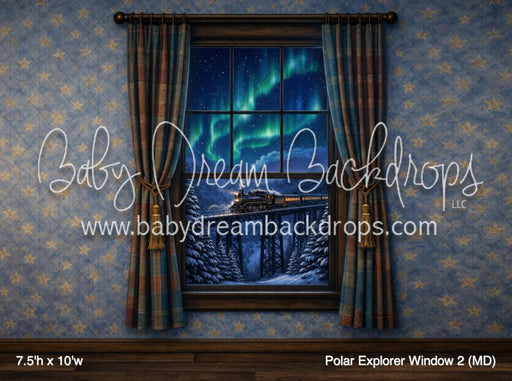 Polar Explorer Window 2 (MD)