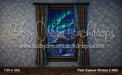 Polar Explorer Window 2 (MD)