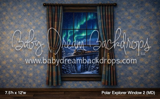 Polar Explorer Window 2 (MD)