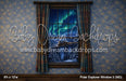 Polar Explorer Window 2 (MD)