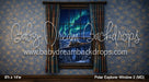 Polar Explorer Window 2 (MD)