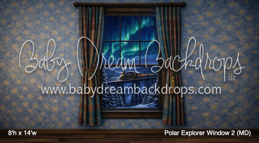 Polar Explorer Window 2 (MD)
