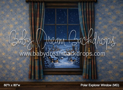 Polar Explorer Window (MD)