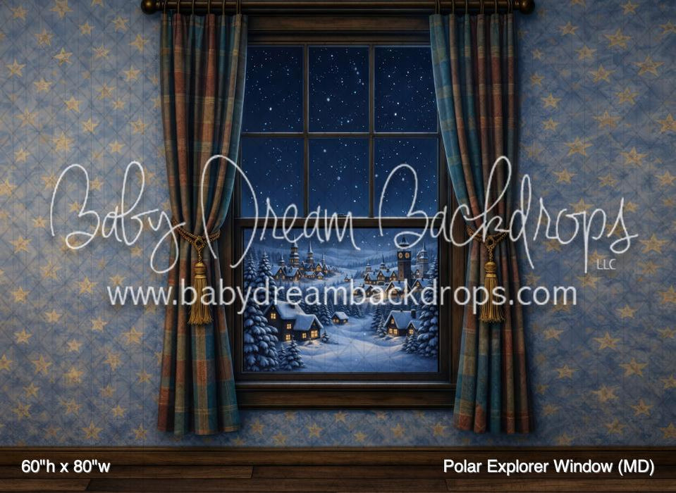 Polar Explorer Window (MD)