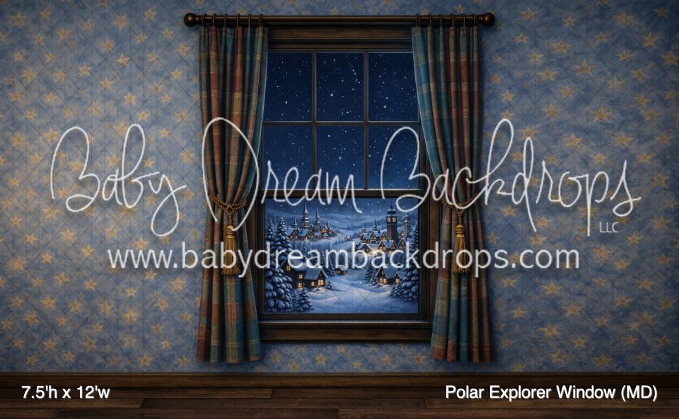 Polar Explorer Window (MD)