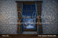 Polar Explorer Window (MD)