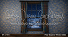 Polar Explorer Window (MD)