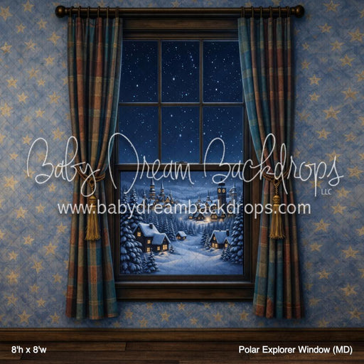Polar Explorer Window (MD)