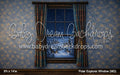 Polar Explorer Window (MD)