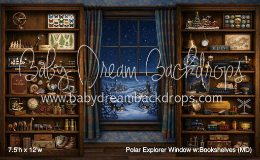Polar Explorer Window w:Bookshelves (MD)