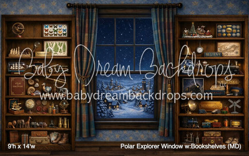 Polar Explorer Window w:Bookshelves (MD)