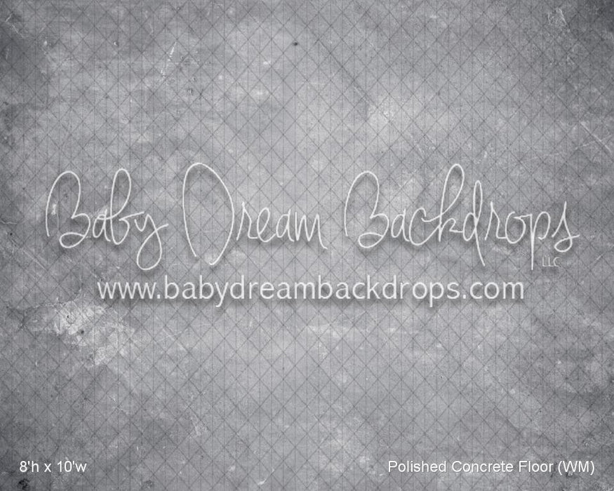 Polished Concrete Floor (WM)