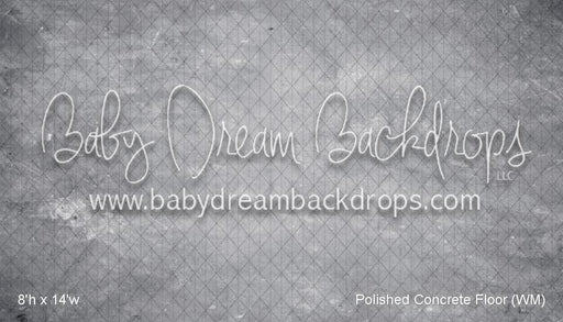 Polished Concrete Floor (WM)