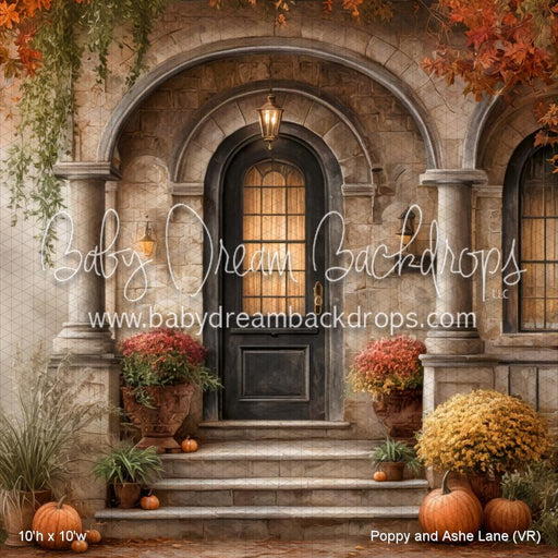 Poppy and Ashe Lane (VR)