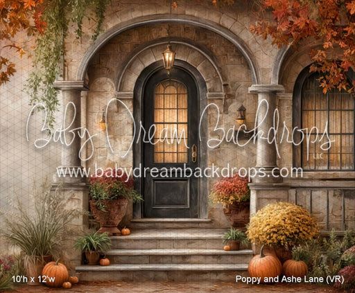 Poppy and Ashe Lane (VR)