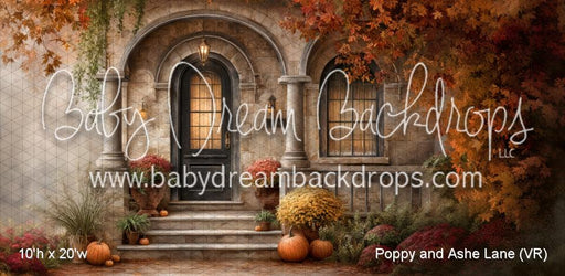 Poppy and Ashe Lane (VR)