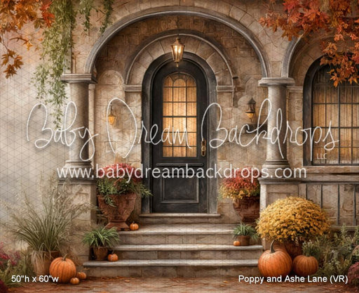 Poppy and Ashe Lane (VR)