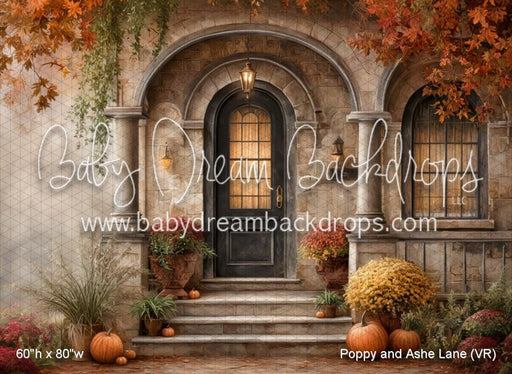 Poppy and Ashe Lane (VR)