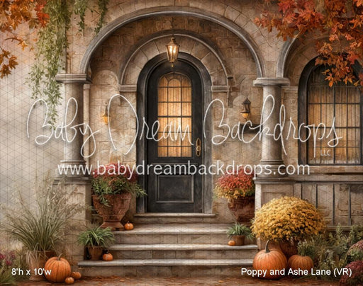 Poppy and Ashe Lane (VR)