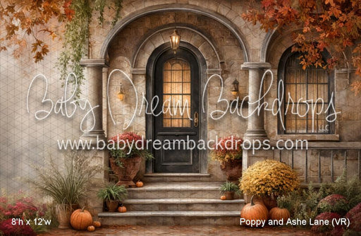 Poppy and Ashe Lane (VR)