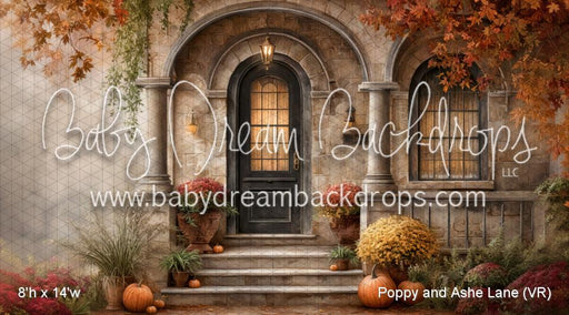 Poppy and Ashe Lane (VR)