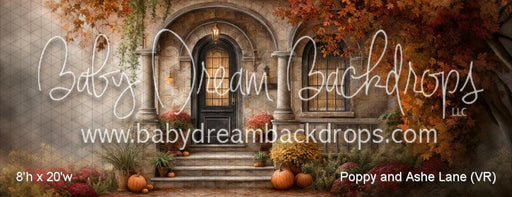 Poppy and Ashe Lane (VR)