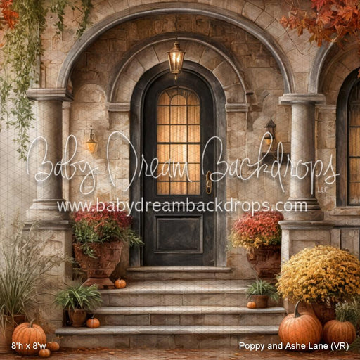 Poppy and Ashe Lane (VR)