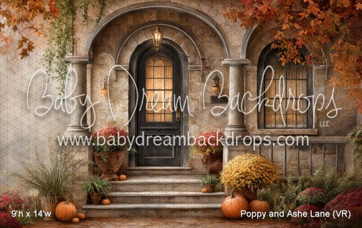 Poppy and Ashe Lane (VR)