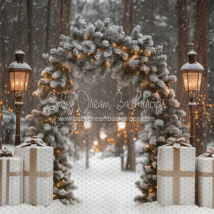 Present Path Frosty (JA)