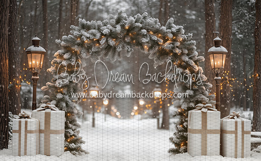 Present Path Frosty (JA)