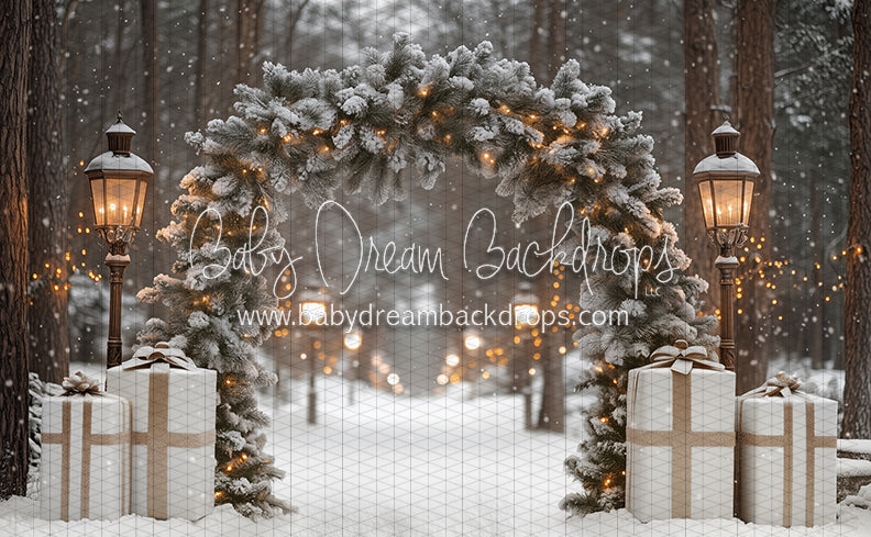 Present Path Frosty (JA)