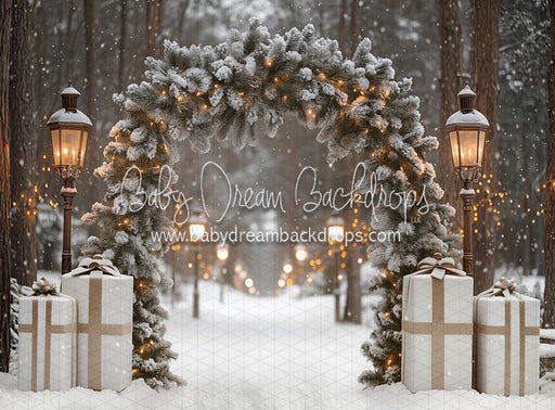 Present Path Frosty (JA)