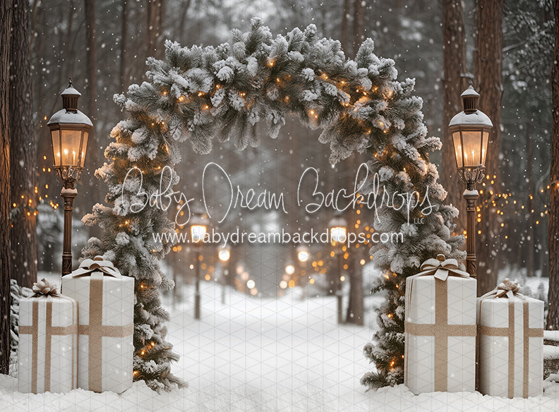 Present Path Frosty (JA)