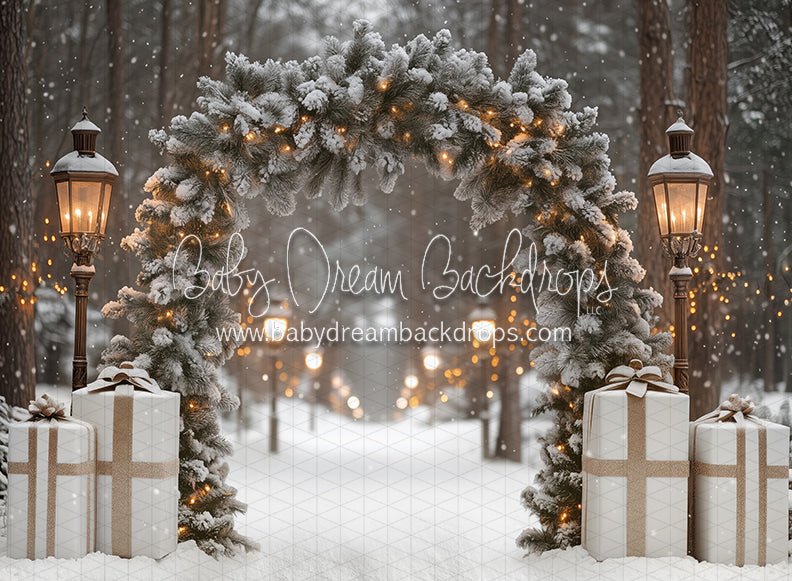 Present Path Frosty (JA)