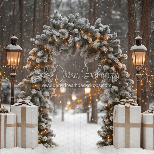 Present Path Frosty (JA)