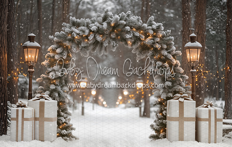 Present Path Frosty (JA)